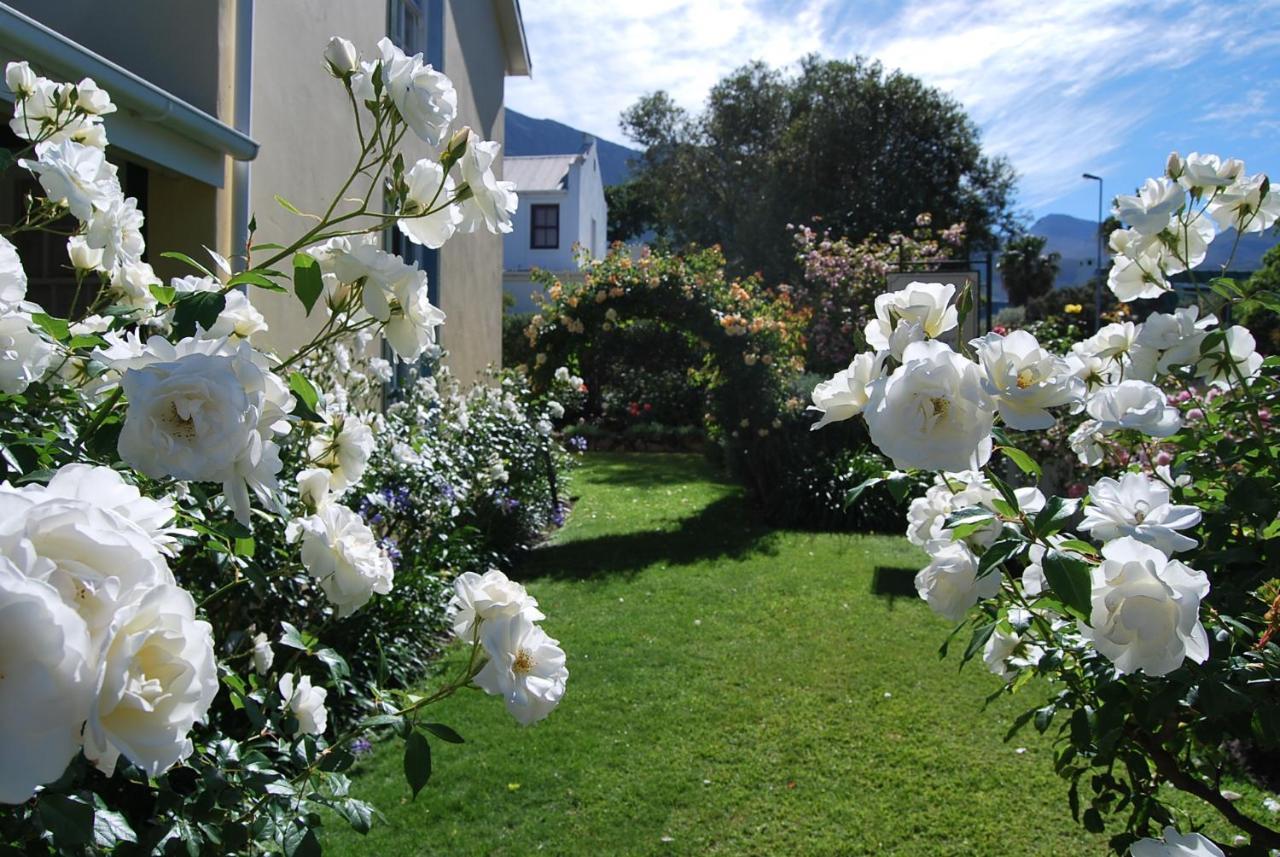Lavender Cottage Franschhoek Exterior photo
